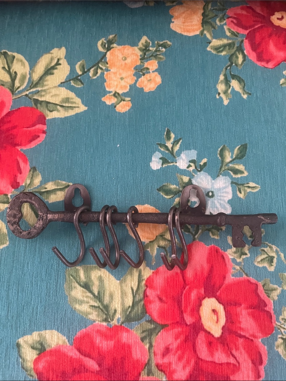 Anthropologie Antique looking Iron Key Wall Hook Rack